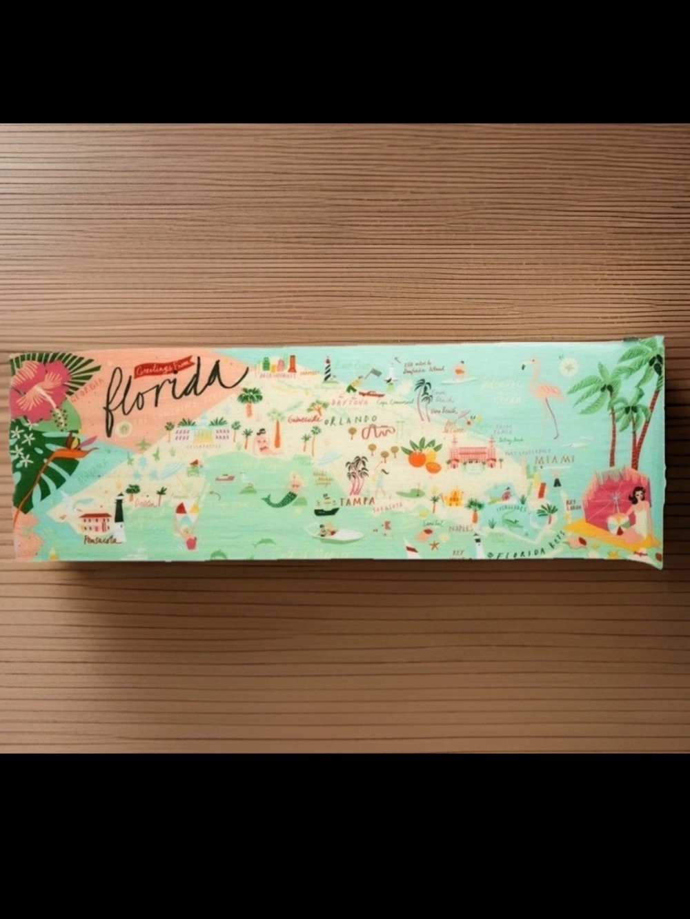 Spartina 449 Florida scarf